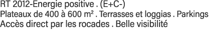 RT 2012-Energie positive   (E+C-) Plateaux de 400 à 600 m2   Terrasses et loggias   Parkings Accès direct par les roc   